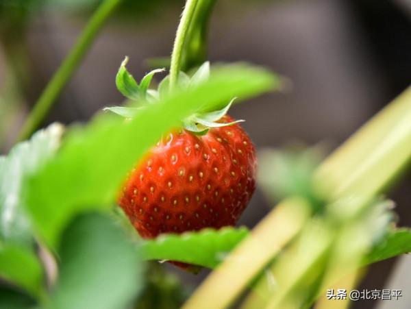 2021好幸運，和你在昌平走過春夏秋冬