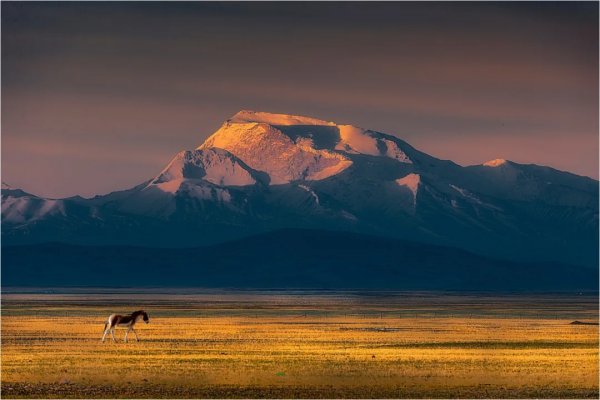 在阿里的四季裡，感受美好的一年