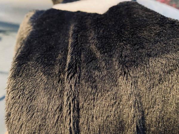 冬天的南方大學宿舍裡有哪些取暖神器？