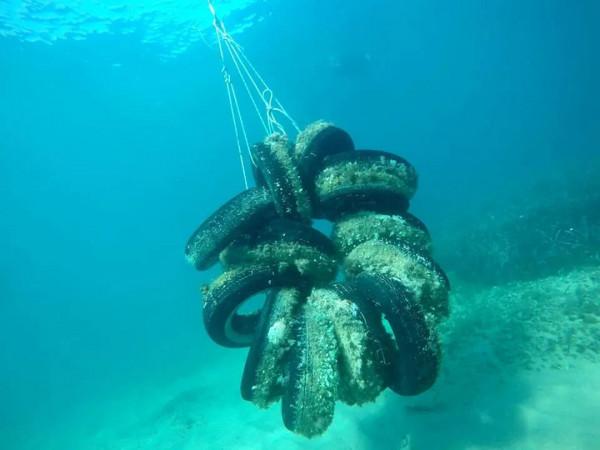 美國人修公路時，為什麼要預埋一層輪胎？中國為何不效仿？