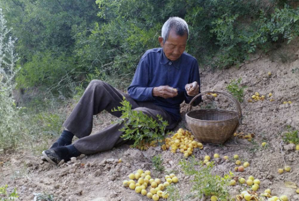 為啥老人身上有一股怪味?建議50歲後,遠離4個習慣,老了或沒味 為啥老人身上有一股怪味?建議50歲後,遠離4個習慣,老了或沒味