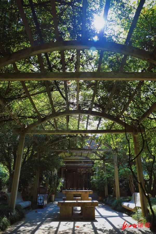 權威釋出 | 如皋水繪園免費開放？官方公告來了！