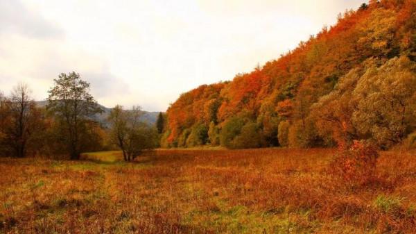 聊一下中醫四燥,秋燥來襲,咽乾咳嗽,常備兩碗湯 聊一下中醫四燥,秋燥來襲,咽乾咳嗽,常備兩碗湯