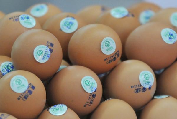 16個你不知道的冷知識,越南人姓什麼的最多? 16個你不知道的冷知識,越南人姓什麼的最多?