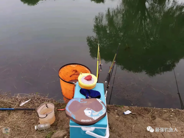 經歷了前一天內港的試釣,敗得有點慘 經歷了前一天內港的試釣,敗得有點慘