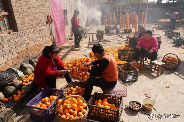 山西大山農民用柿子裝扮的小山村，成網紅打卡地，看美成啥樣