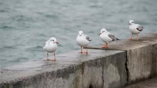 人太懶和基因突變有關 人太懶和基因突變有關