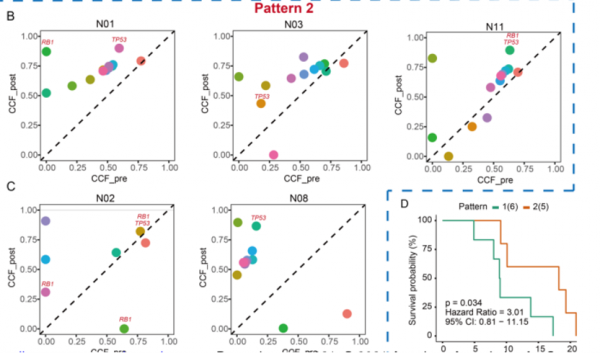 中國研究：PI3K/AKT通路的啟用是小細胞肺癌治療耐藥的潛在機制