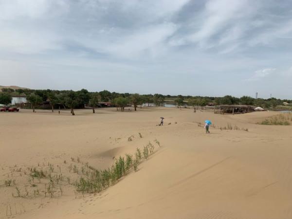 大美新疆（十）羅布人村