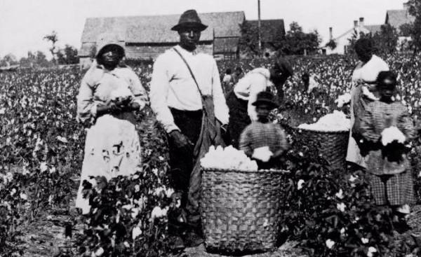 黑奴的棉花種植園生活大揭秘:摘棉花、吃豬肉、啃西瓜和挨鞭子 黑奴的棉花種植園生活大揭秘:摘棉花、吃豬肉、啃西瓜和挨鞭子