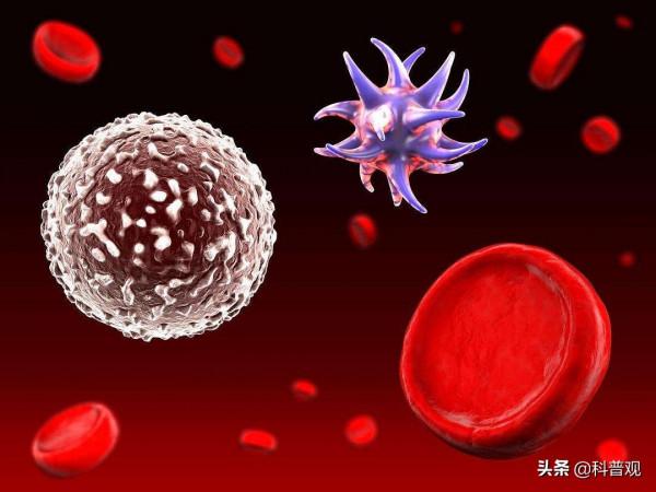 細胞因子風暴：你的免疫系統，才是真正的奪命“殺手”