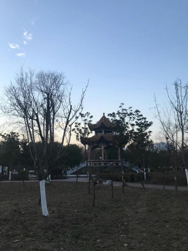 李靚蕾發文實錘王力宏：我有多愛你，就有多恨你