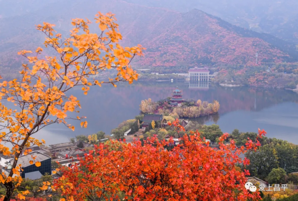 氣溫驟降,昌平這6個賞紅葉地即將登場,提前收藏 氣溫驟降,昌平這6個賞紅葉地即將登場,提前收藏