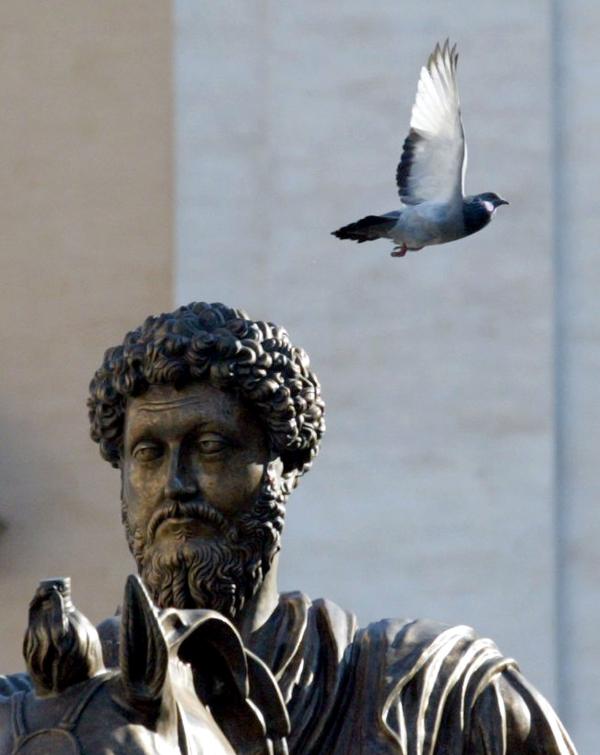 為啥說“羅馬已經不只是羅馬”？古羅馬的核心“病灶”，中國學者找到了