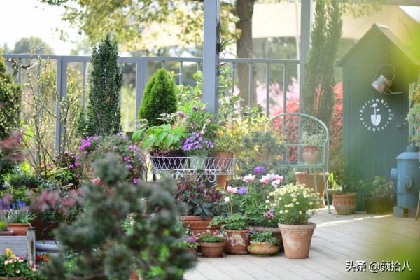 綠色背景牆的角落，聞著番木瓜花的香味賞月啦 | 園丁