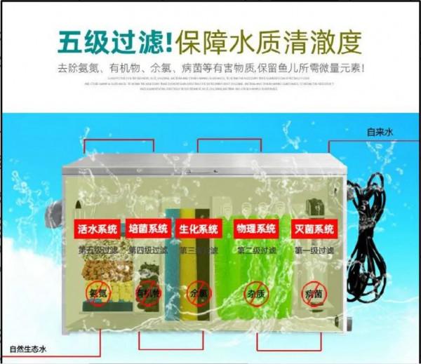 這些過濾的雷，你踩過嗎？走出過濾誤區，才能輕鬆養魚