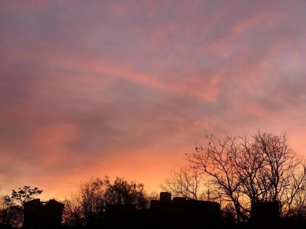 七律. 養生羹美重和調