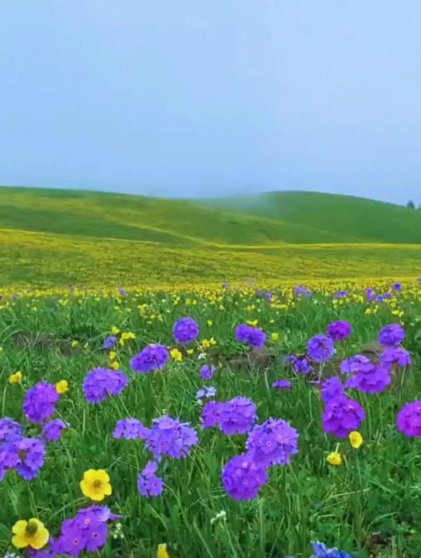 《一個人最好的修養，是情緒穩定》作者：曉君