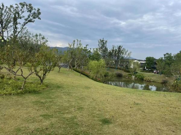 牛，江蘇最漂亮的民宿一條街，人氣爆表，你去過嗎，最適合居住