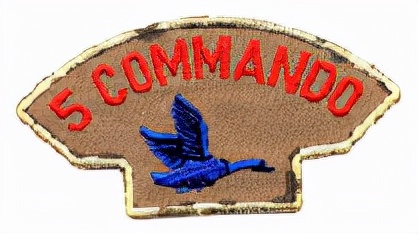 現實中的“野鵝敢死隊”——“瘋子麥克”和他的僱傭兵們