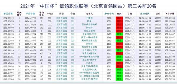 2021年“中國杯”信鴿職業聯賽(北京百鴿園站)第三關再下一城 2021年“中國杯”信鴿職業聯賽(北京百鴿園站)第三關再下一城