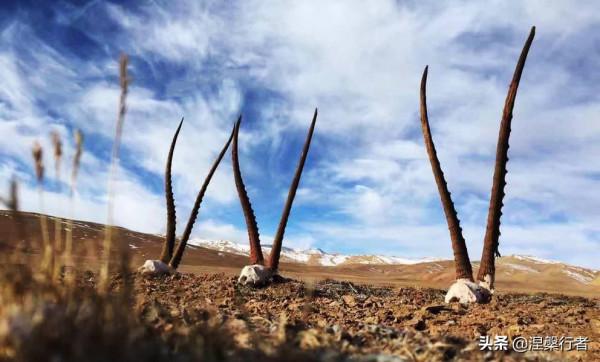 徒步穿越魔鬼谷，被稱為沙漠之王的趙子允，忘卻生死才能幕天席地