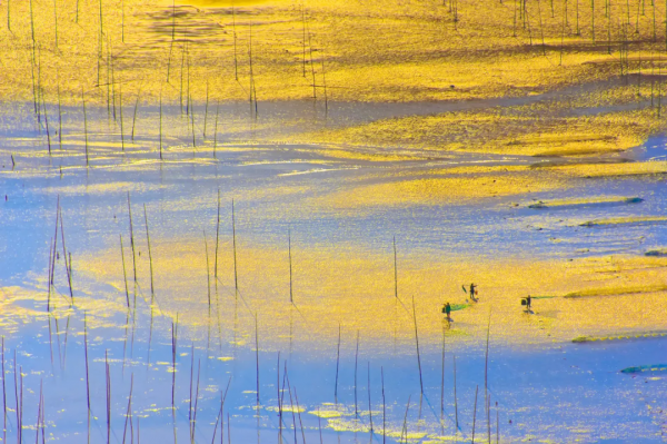 太美了!10個愈秋愈美的小眾旅行地,錯過只能再等一年 太美了!10個愈秋愈美的小眾旅行地,錯過只能再等一年