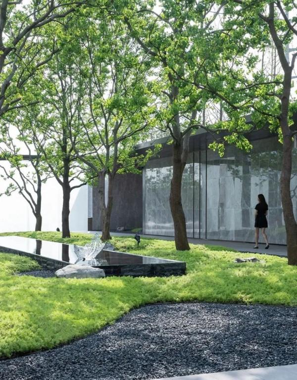 5種適合院子裡種的鋪地植物，種出來比草坪還好看