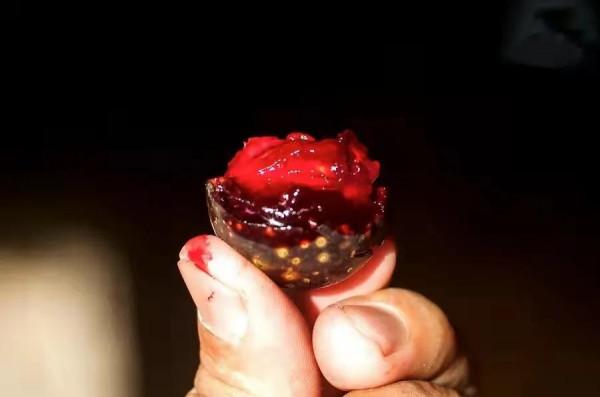 雲南的各種奇葩水果，吃法獨特，我還能叫出17種，都認識算你厲害