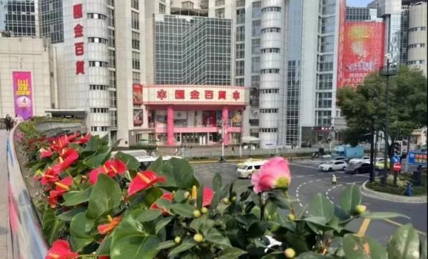 進博會開幕在即!綻放在道路、主題景點、花壇花境的限定美景來了→ 進博會開幕在即!綻放在道路、主題景點、花壇花境的限定美景來了→