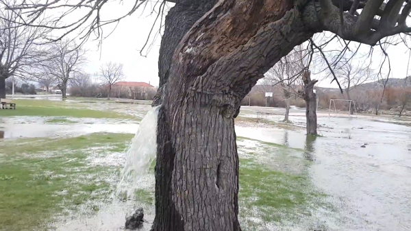 非洲人溫飽都難以解決,為何還不願意種地?原來土地上有兩大寶貝 非洲人溫飽都難以解決,為何還不願意種地?原來土地上有兩大寶貝