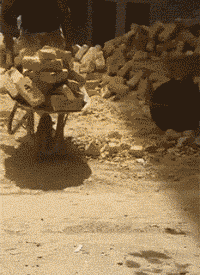 領導是喜歡打小報告的下屬，還是反感？網友：利用你，但看不起你