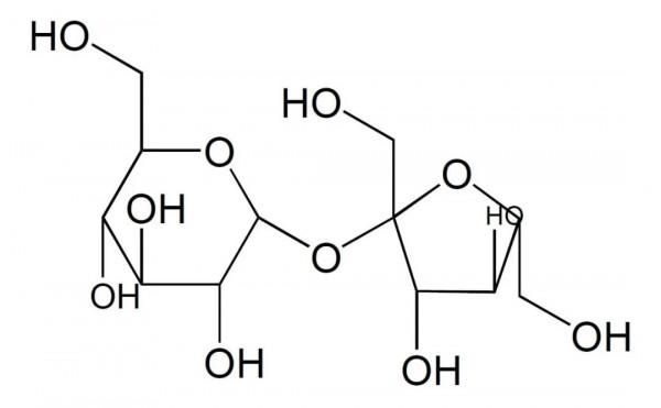 今日脂肪不營業