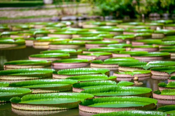 年度最佳旅行目的地!中國唯一上榜,這座養老小城照舊那麼美 年度最佳旅行目的地!中國唯一上榜,這座養老小城照舊那麼美