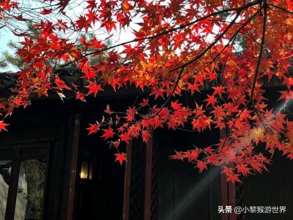 一個人去哪？國內超適合一個人去玩的地方