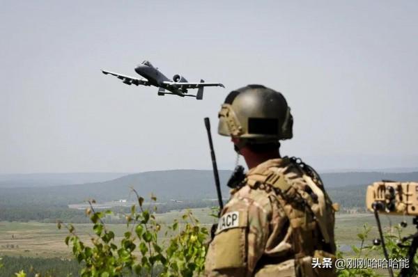 令人左右為難的“疣豬”終於活了下來 令人左右為難的“疣豬”終於活了下來