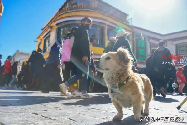 陳坤又來西藏了！曾徒步西藏3次，揭秘他都去了哪！