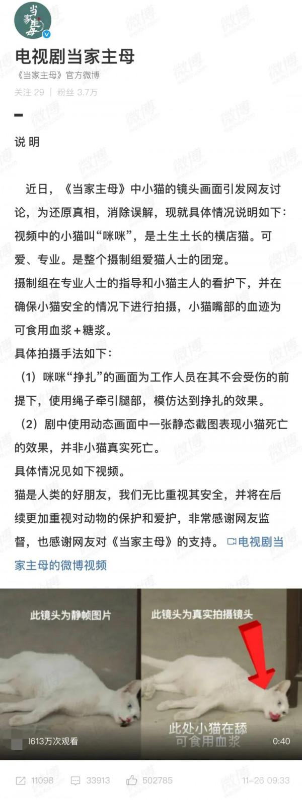 《當家主母》“喵咪事件”愈演愈烈,還有更殘忍的,都停止吧 《當家主母》“喵咪事件”愈演愈烈,還有更殘忍的,都停止吧