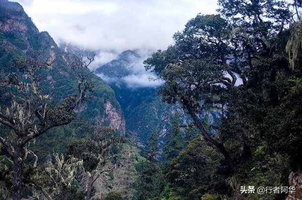 冬季去西藏怕高反，這條進藏線路攻略一定不能錯過
