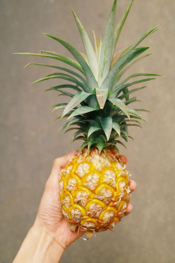 在這裡我毫不焦慮，還實現了水果自由