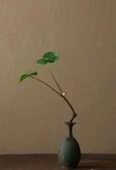 黛玉葬花的渾然天成與日本物哀文化的美