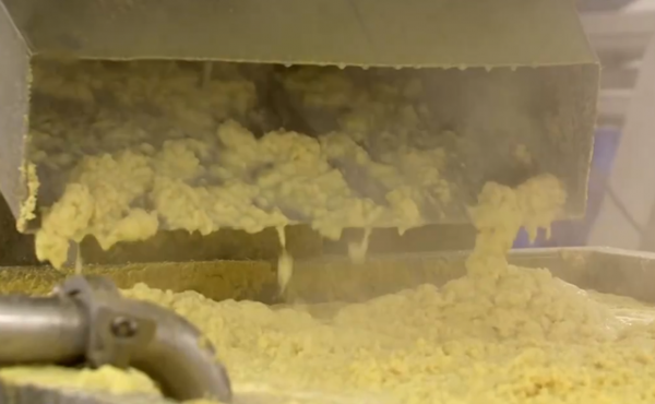 山東男子創辦生薑加工廠，種植生薑帶頭致富，國內銷售收入上億元