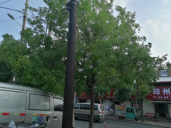 慘劇發生在凌晨 慘劇發生在凌晨