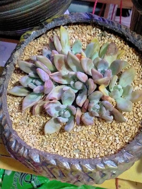 今年天氣真夠嗆