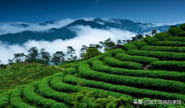 雲南有一座冬可避寒，夏可避暑的小城，綠化好，空氣佳，適合養老