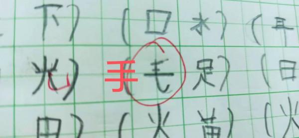 你家剛上一年級小朋友有寫反寫現象嗎？