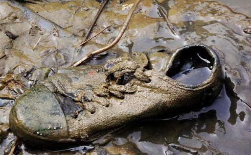釣魚人有什麼釣不到？江蘇一釣友釣魚意外鉤到溺亡老人