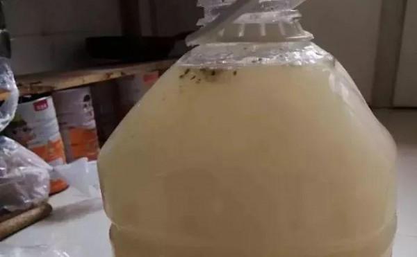 淘米水加點料,沒有異味,肥效能翻10倍,養啥花都旺 淘米水加點料,沒有異味,肥效能翻10倍,養啥花都旺