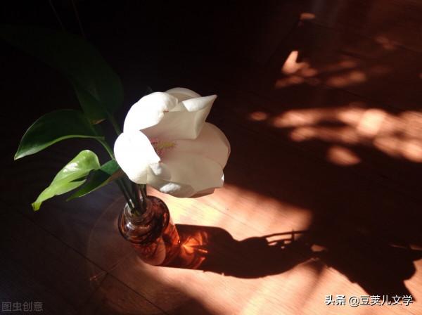 散文:青絲為誰老 散文:青絲為誰老