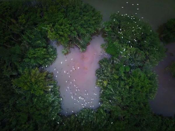 《誤殺2》“泰國”竟是廣東這座小城！好吃好玩比劇情更上頭…